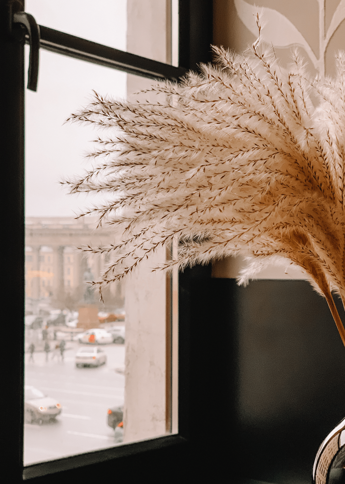 Tall dried pampas grass